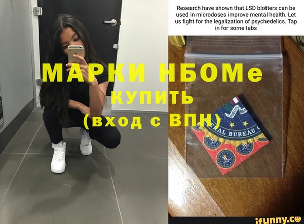 шишки Алзамай