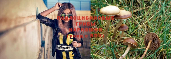 шишки Алзамай