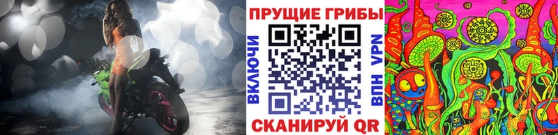 Галлюциногенные грибы Psilocybe  Спасск-Дальний 